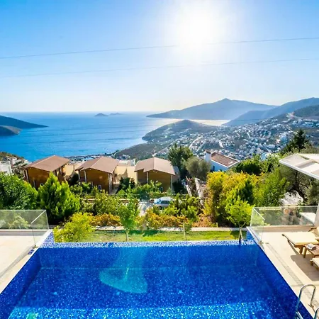 Eco Palmiye *